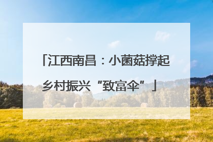 江西南昌：小菌菇撑起乡村振兴“致富伞”