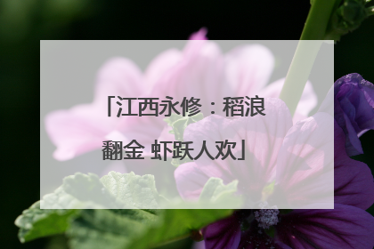 江西永修：稻浪翻金 虾跃人欢