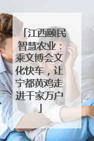 江西颐民智慧农业：乘文博会文化快车，让宁都黄鸡走进千家万户
