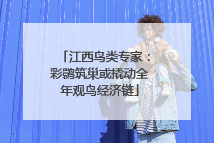 江西鸟类专家：彩鹮筑巢或撬动全年观鸟经济链