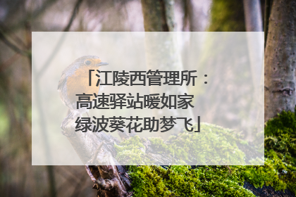 江陵西管理所：高速驿站暖如家 绿波葵花助梦飞