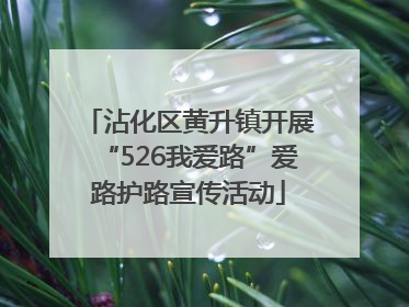 沾化区黄升镇开展“526我爱路”爱路护路宣传活动
