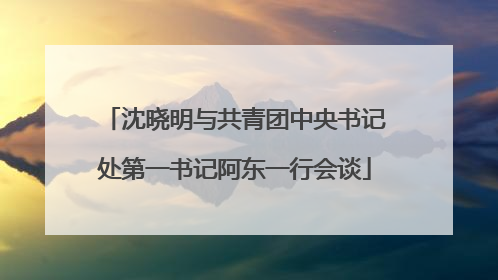 沈晓明与共青团中央书记处第一书记阿东一行会谈