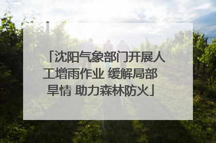 沈阳气象部门开展人工增雨作业 缓解局部旱情 助力森林防火