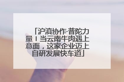 沪滇协作·普陀力量〡当云南牛肉遇上意面，这家企业迈上自研发展快车道
