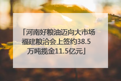 河南好粮油迈向大市场 福建粮洽会上签约38.5万吨揽金11.5亿元