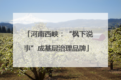 河南西峡：“枫下说事”成基层治理品牌