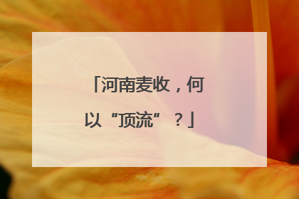 河南麦收，何以“顶流”？