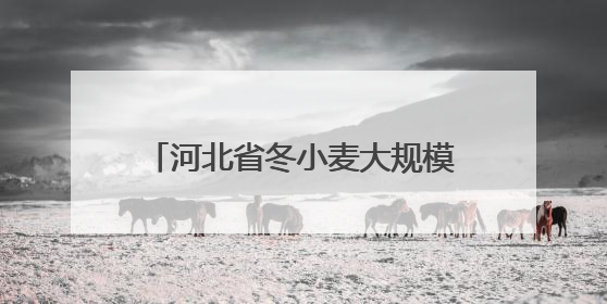 河北省冬小麦大规模机收工作全面启动