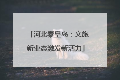 河北秦皇岛：文旅新业态激发新活力