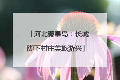 河北秦皇岛：长城脚下村庄美旅游兴