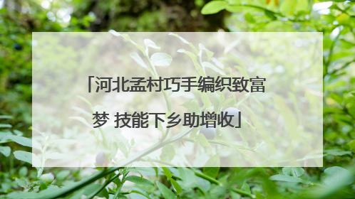 河北孟村巧手编织致富梦 技能下乡助增收