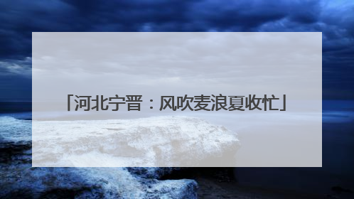河北宁晋：风吹麦浪夏收忙