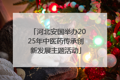 河北安国举办2025年中医药传承创新发展主题活动