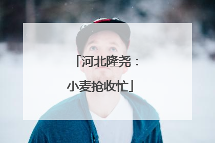 河北隆尧：小麦抢收忙