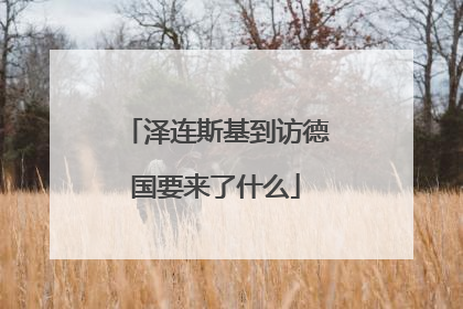 泽连斯基到访德国要来了什么