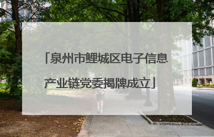 泉州市鲤城区电子信息产业链党委揭牌成立