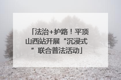 法治+护路！平顶山西站开展“沉浸式”联合普法活动