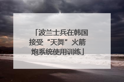 波兰士兵在韩国接受“天舞”火箭炮系统使用训练