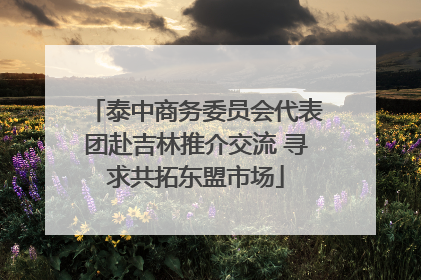 泰中商务委员会代表团赴吉林推介交流 寻求共拓东盟市场