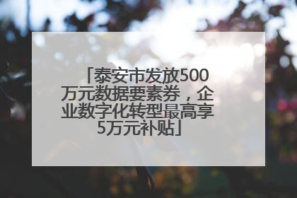 泰安市发放500万元数据要素券，企业数字化转型最高享5万元补贴