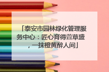 泰安市园林绿化管理服务中心：匠心育得萱草盛，一抹橙黄醉人间