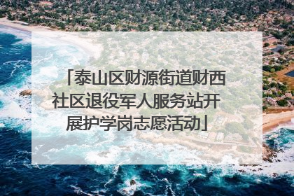 泰山区财源街道财西社区退役军人服务站开展护学岗志愿活动