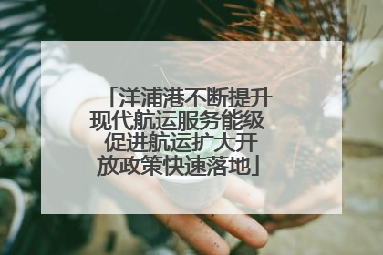 洋浦港不断提升现代航运服务能级 促进航运扩大开放政策快速落地