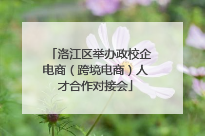 洛江区举办政校企电商（跨境电商）人才合作对接会