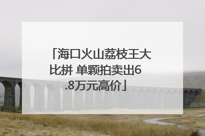 海口火山荔枝王大比拼 单颗拍卖出6.8万元高价