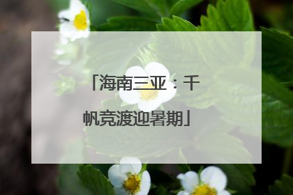 海南三亚：千帆竞渡迎暑期