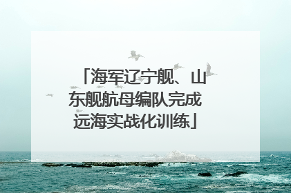 海军辽宁舰、山东舰航母编队完成远海实战化训练