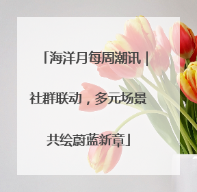 海洋月每周潮讯｜社群联动，多元场景共绘蔚蓝新章