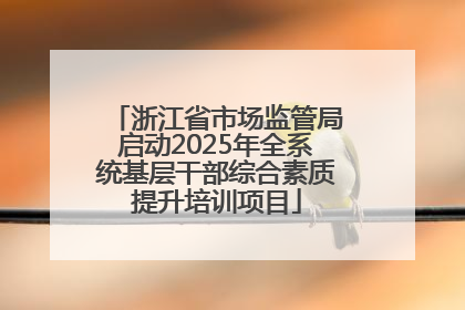 浙江省市场监管局启动2025年全系统基层干部综合素质提升培训项目