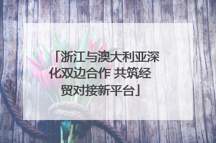 浙江与澳大利亚深化双边合作 共筑经贸对接新平台