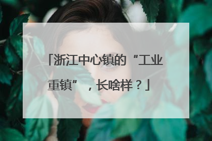 浙江中心镇的“工业重镇”，长啥样？