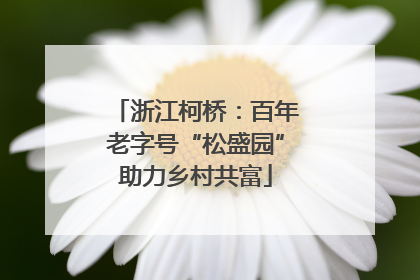 浙江柯桥：百年老字号“松盛园”助力乡村共富