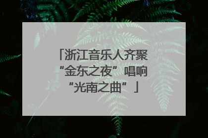 浙江音乐人齐聚“金东之夜”唱响“光南之曲”