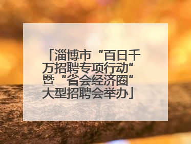 淄博市“百日千万招聘专项行动”暨“省会经济圈”大型招聘会举办