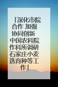 深化市院合作 加强协同创新 中国农科院作科所调研石家庄小麦选育种等工作