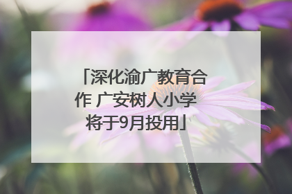 深化渝广教育合作 广安树人小学将于9月投用