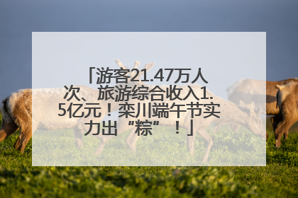 游客21.47万人次、旅游综合收入1.5亿元！栾川端午节实力出“粽”！