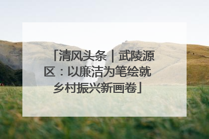 清风头条｜武陵源区：以廉洁为笔绘就乡村振兴新画卷