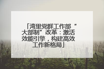 湾里党群工作部“大部制”改革：激活效能引擎，构建高效工作新格局