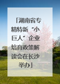 湖南省专精特新“小巨人”企业培育政策解读会在长沙举办