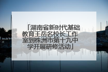 湖南省新时代基础教育王岳名校长工作室到株洲市第十九中学开展研修活动