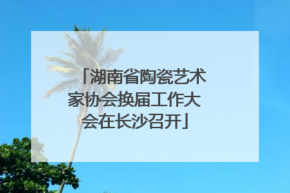 湖南省陶瓷艺术家协会换届工作大会在长沙召开