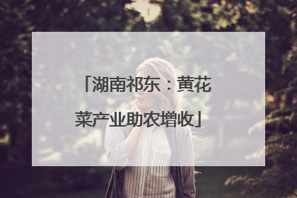 湖南祁东：黄花菜产业助农增收