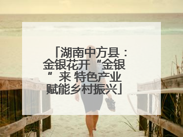 湖南中方县：金银花开“金银”来 特色产业赋能乡村振兴