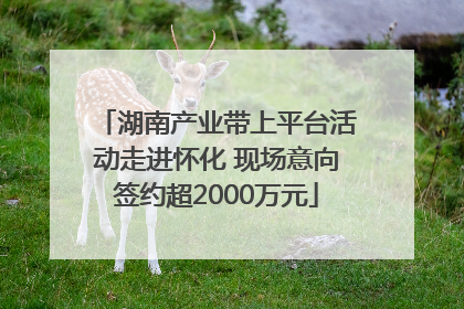 湖南产业带上平台活动走进怀化 现场意向签约超2000万元